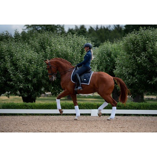 Вальтрап выездковый Equestrian Stockholm MIDNIGHT WHITE EDGE