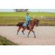 Вальтрап виїзковий Equestrian Stockholm Parisian blue
