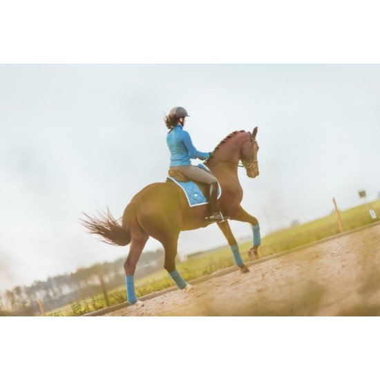 Вальтрап виїзковий Equestrian Stockholm Parisian blue