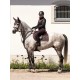 Вальтрап конкурный Equestrian Stockholm Moonless Night