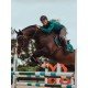 Вальтрап конкурний Equestrian Stockholm EMERALD