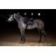 Вальтрап конкурний Equestrian Stockholm BLACK EDITION