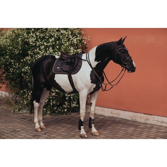Вальтрап конкурний Dark Sky, Equestrian Stockholm