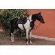 Вальтрап конкурний Dark Sky, Equestrian Stockholm
