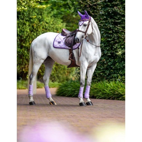 Вальтрап конкурний  Lavender, Equestrian Stockholm