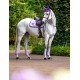 Вальтрап конкурний  Lavender, Equestrian Stockholm