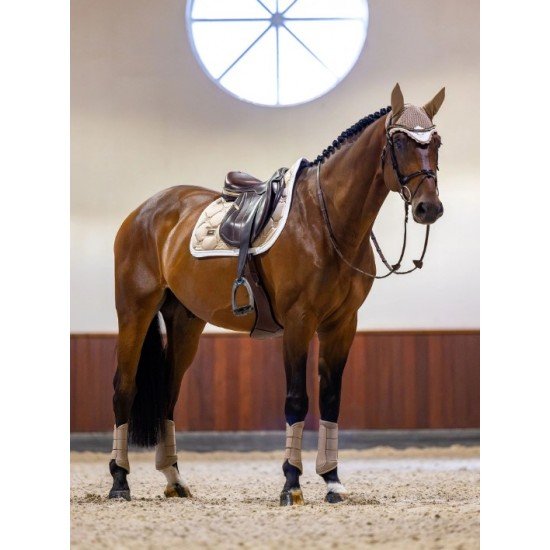 Вальтрап конкурний Sand, Equestrian Stockholm