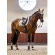 Вальтрап конкурний Sand, Equestrian Stockholm