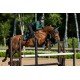 Вальтрап конкурний Sycamore Green, Equestrian Stockholm