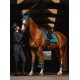 Вальтрап виїзковий Modern Teal Blue, Equestrian Stockholm