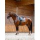 Вальтрап Modern Sand, Equestrian Stockholm