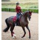 Вальтрап выездковый Line, Equestrian Stockholm
