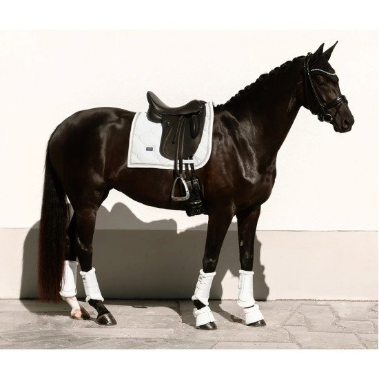Вальтрап выездковый Glimmer Crystal, Equestrian Stockholm
