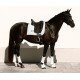 Вальтрап выездковый Glimmer Crystal, Equestrian Stockholm