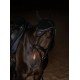 Вушка для коня Dark Ocean від Equestrian Stockholm