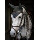 Вушка для коня Modern Avenue Green, Equestrian Stockholm