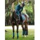 Вушка для коня Teal Blue від Equestrian Stockholm