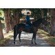 Вальтрап конкурний Monaco Blue, Equestrian Stockholm