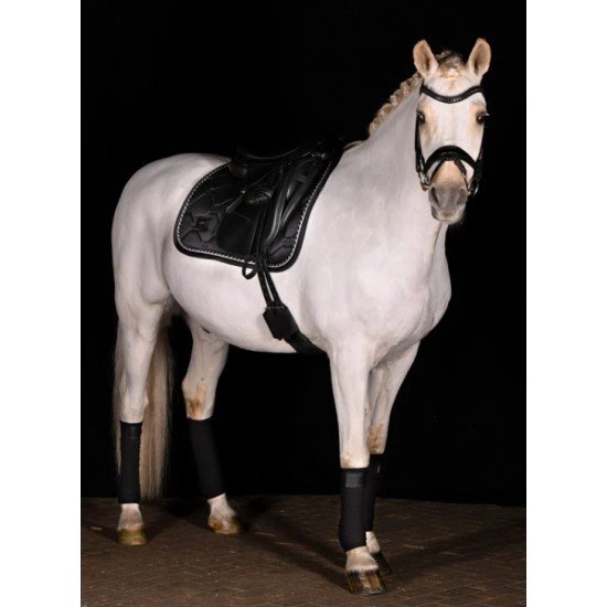 Вальтрап виїзковий Equestrian Stockholm BLACK EDITION