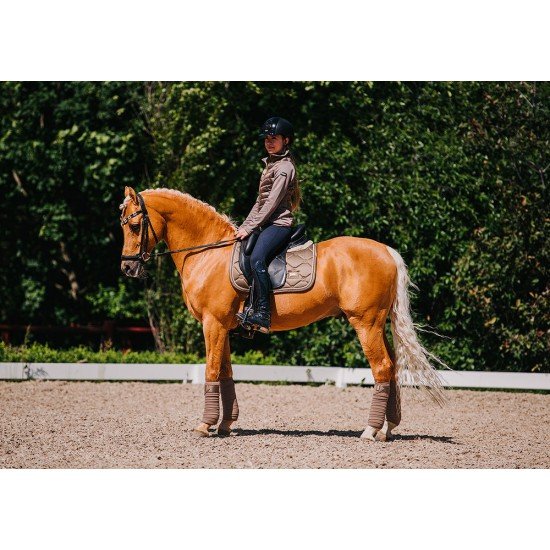 Вальтрап виїздковий Champagne, Equestrian Stockholm