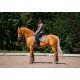 Вальтрап виїздковий Champagne, Equestrian Stockholm