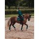 Вальтрап виїзковий Emerald, Equestrian Stockholm