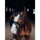 Вушка Black Gold від Equestrian Stockholm